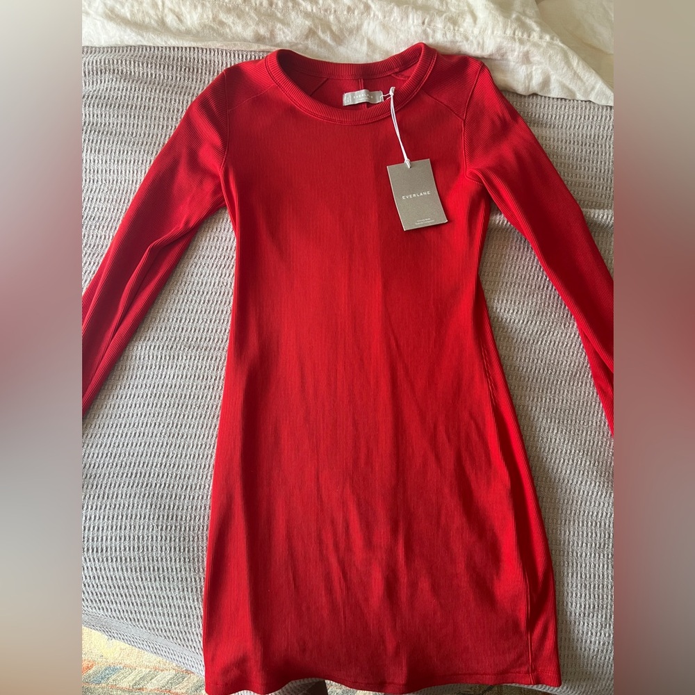 Everlane ribbed sweater dress
